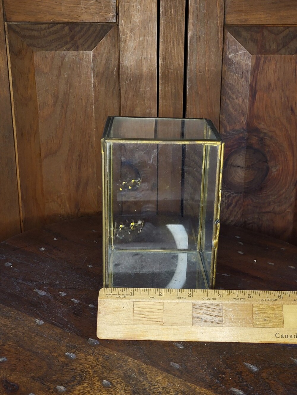 Glass Display Box with Brass Frame - Picture 4 of 10